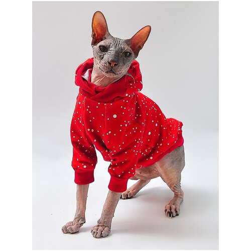 Худи - одежда для кошек и котов, для сфинксов, товар можно носить под шлейку