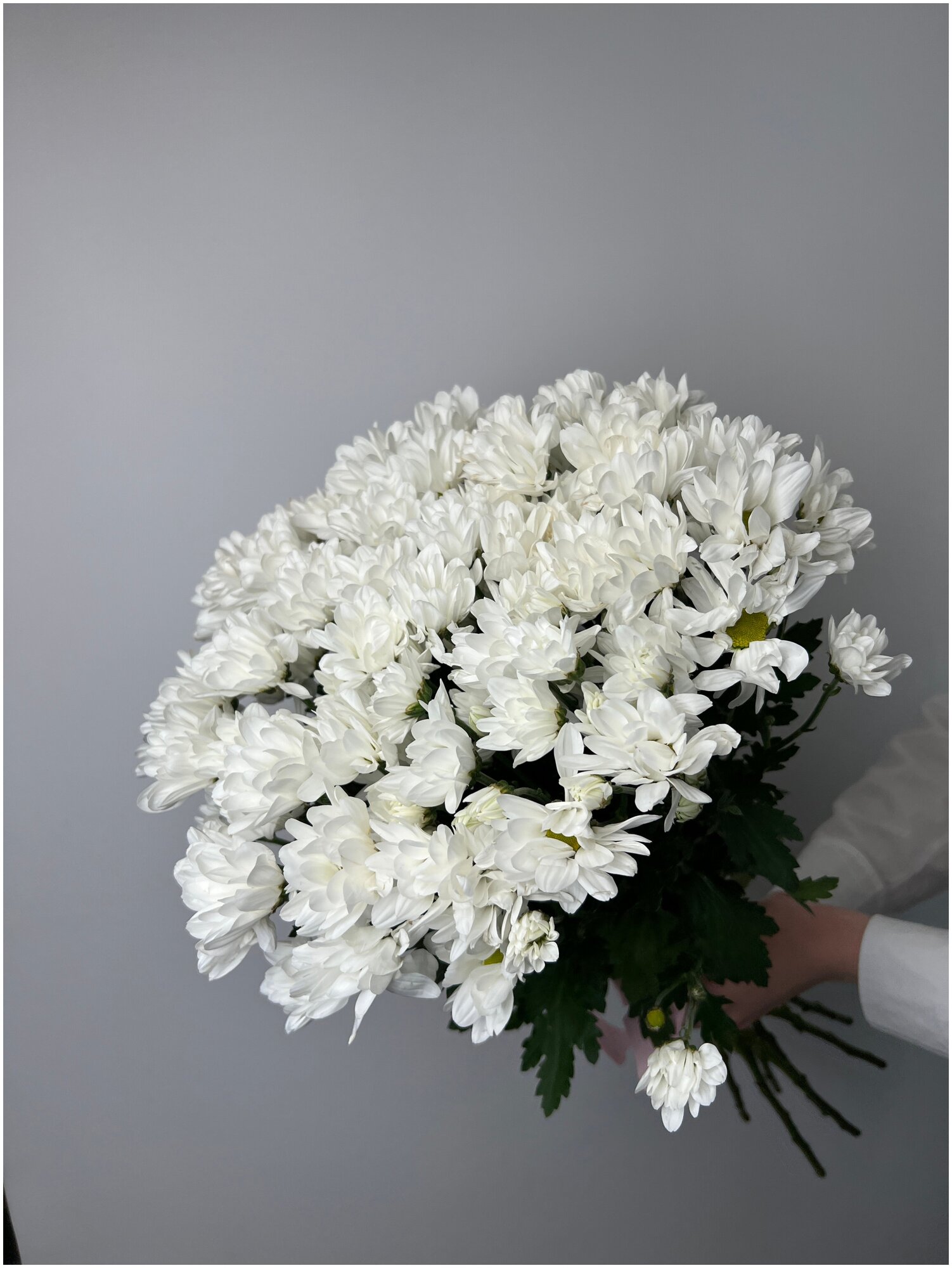 Букет Хризантема кустовая белая 11 шт