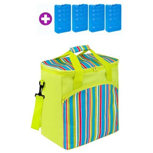Термосумка холодильник и 4 аккумулятора холода Green Glade Р1632 для пикника, сумка для хранения еды и напитков на молнии, 32 л