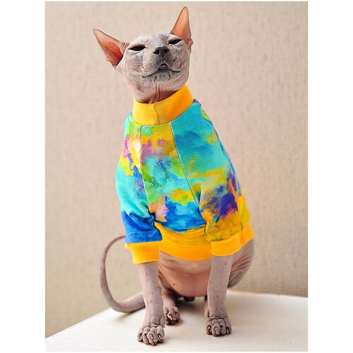 Одежда для кошек и котов - трикотажная кофта с рисунком Фестиваль красок, подходит для сфинксов