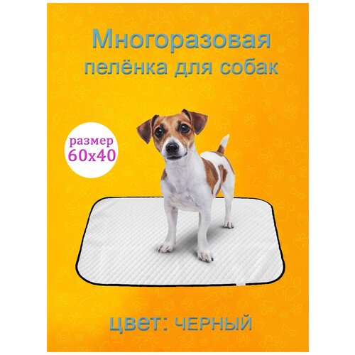 Пеленка для собак многоразовая 60х40 см/Пеленка для животных/ Непромокаемая впитывающая удерживающая запах