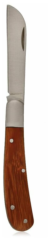 Нож садовый складной, прямое лезвие, 173 мм, деревянная рукоятка, PALISAD 79003 - фотография № 11