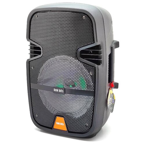 Link bits RFR-236 Большая напольная Беспроводная Bluetooth колонка с микрофоном FM радио USB плеер регулировка Эхо 438500₽