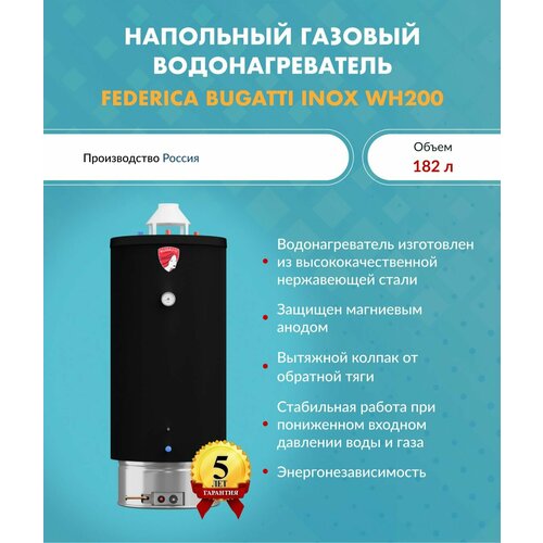 Водонагреватель газовый Federica Bugatti INOX WH200 арт WH200 10171000₽