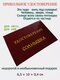 солнышко
