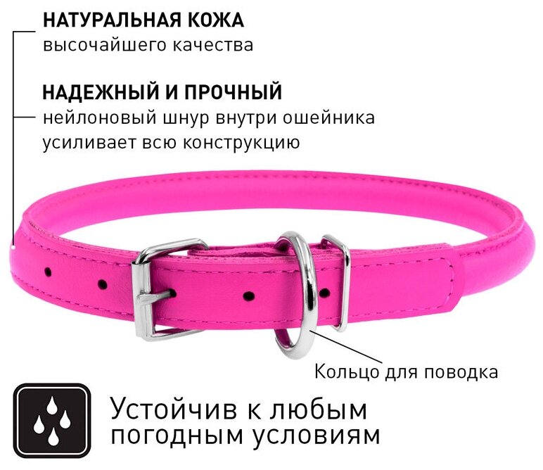 Waudog Glamour круглый для длинношерстных шир. 8мм, дл. 20-25см фиолетовый Collar - фото №3