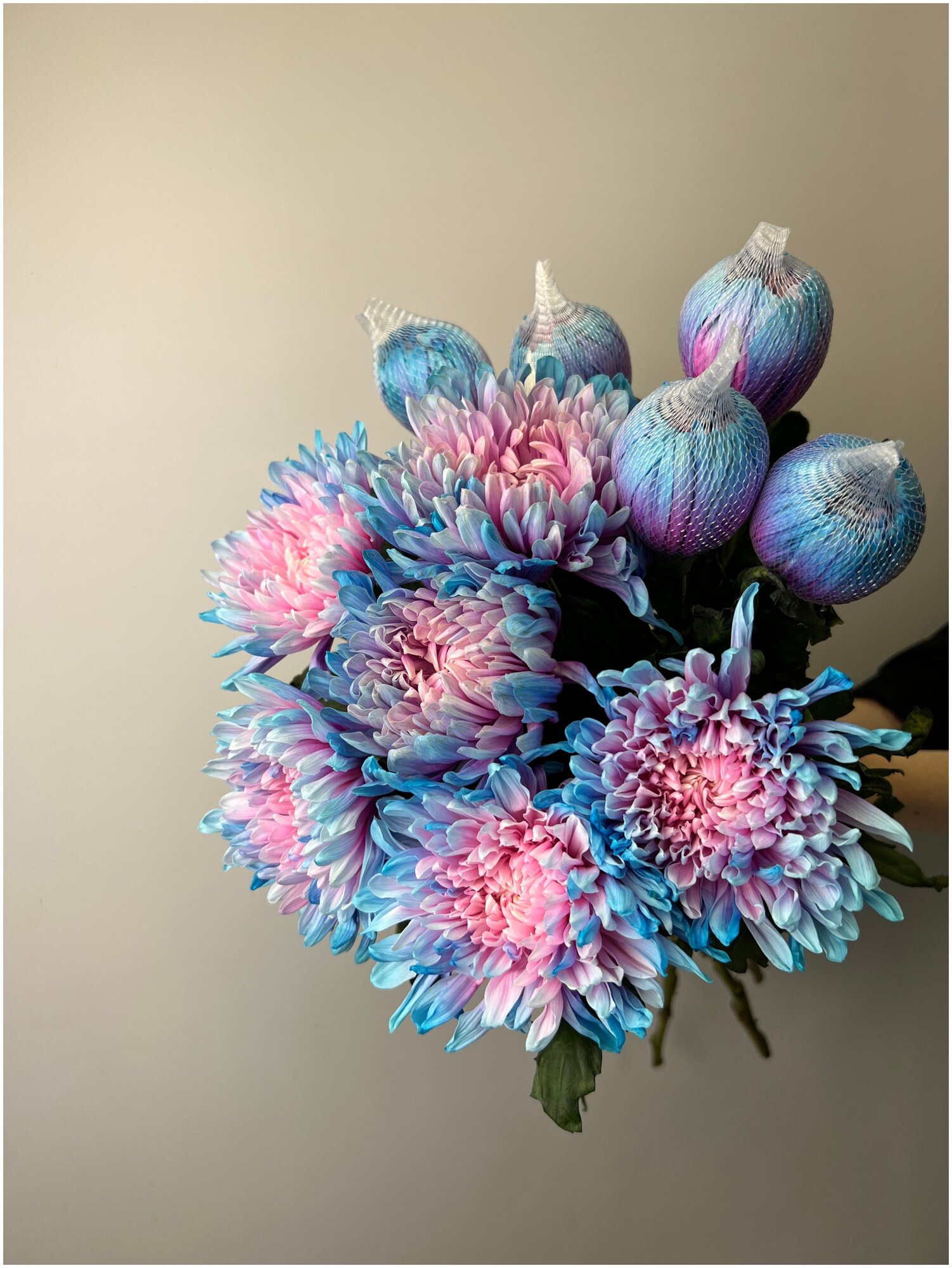 Букет Хризантема одноголовая двухцветная голубая с розовым 11 шт