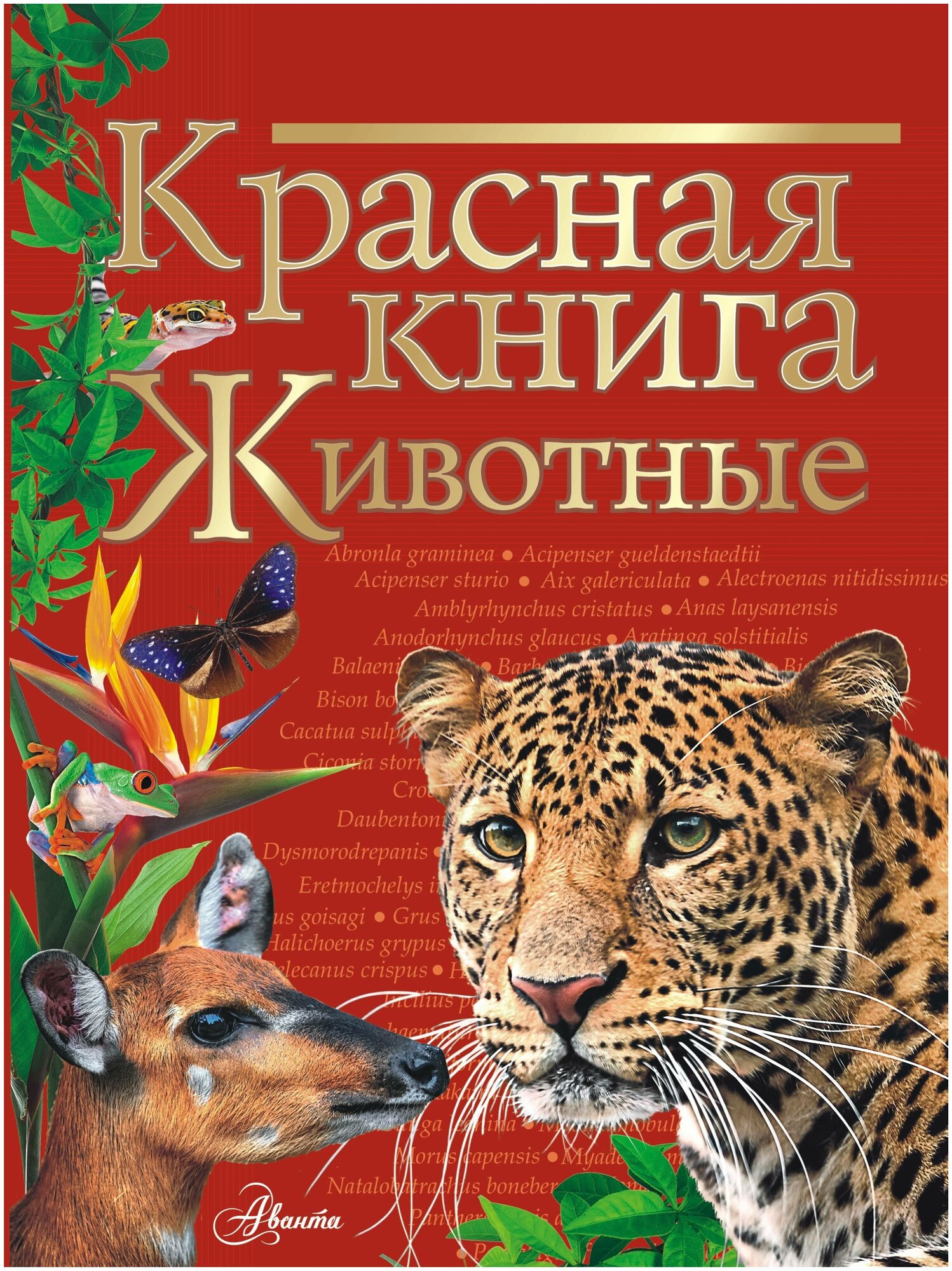 Красная книга Животные