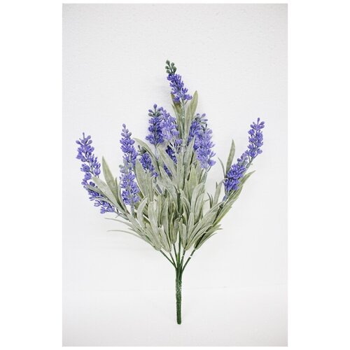 фиолетовый