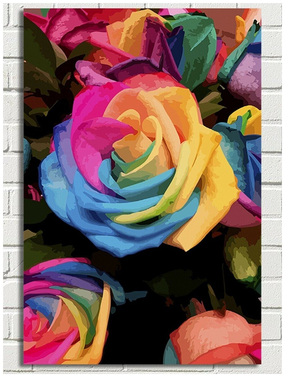 Картина по номерам Цветы (красочная Роза) - 8078 В 60x40
