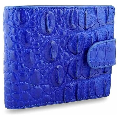 Стильный синий кошелек на хлястике из настоящей кожи крокодила