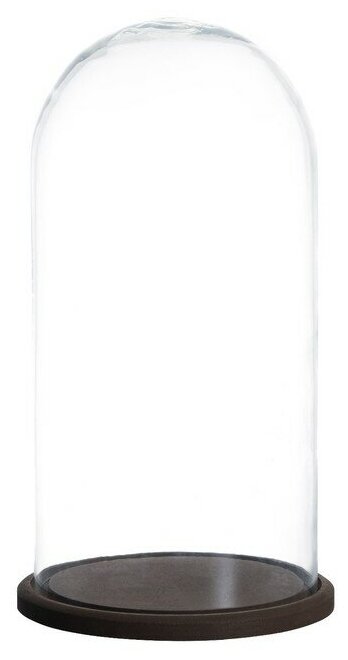 фото Стеклянный купол-клош на деревянной подставке "Венсан - 1", 30х15 см, коричневый 6936433