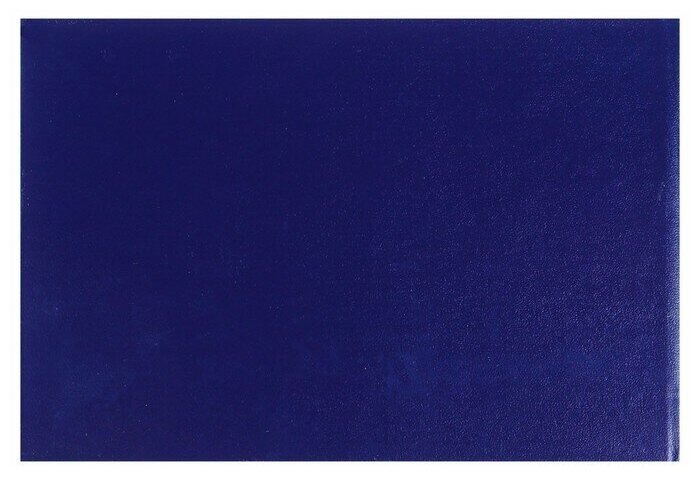 Зачетная книжка для ВУЗ 140 х 100 мм, Calligrata, жёсткая обложка, бумвинил, цвет синий - фотография № 3