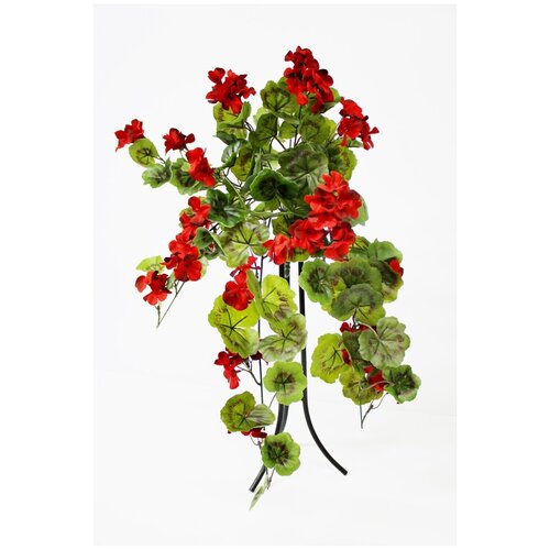 Герань ампельная 64 см