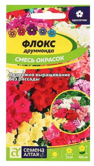 Семена цветов Флокс друммонда Смесь окрасок 01 г