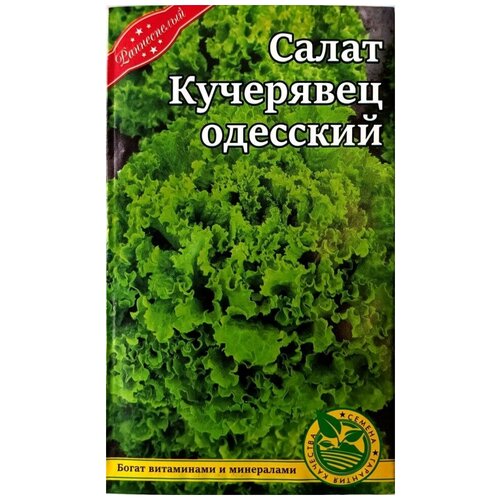 Семена Салат Кучерявец Одесский раннеспелый 1гр