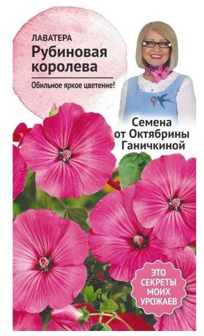 Лаватера Детская грядка - фото №5