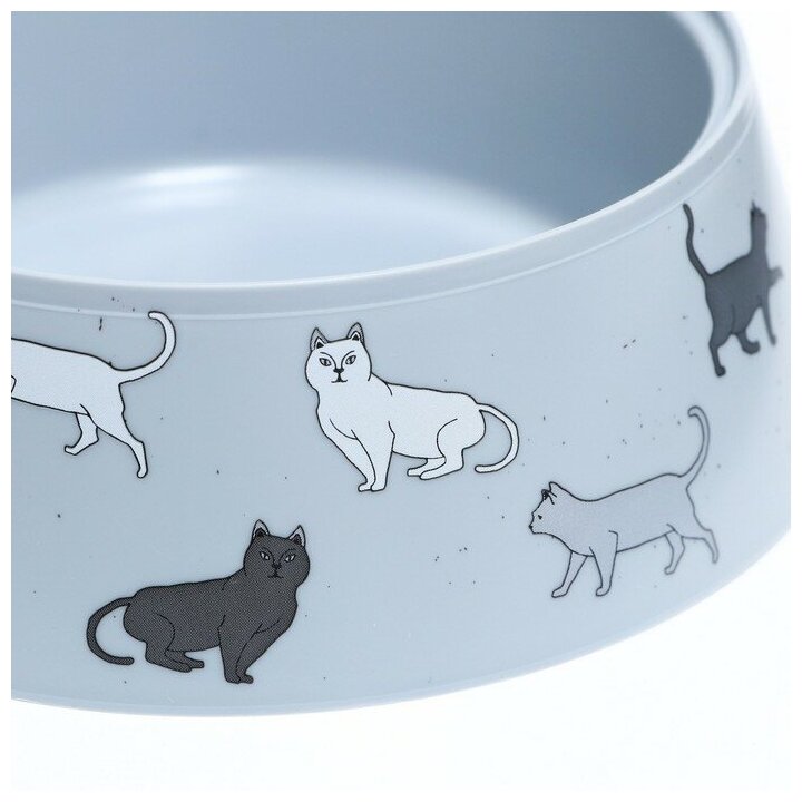 Пижон Миска "Cats" 0,3л серый - фотография № 5