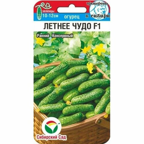 Семена Огурец Летнее чудо Парт, раннеспелый, (Сибирский Сад) 5шт