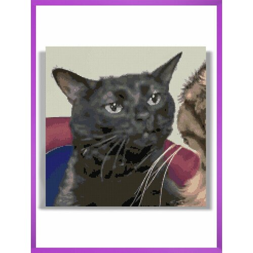 Алмазная мозаика на подрамнике - вышивка Кот Мем 2 40 х 40 см