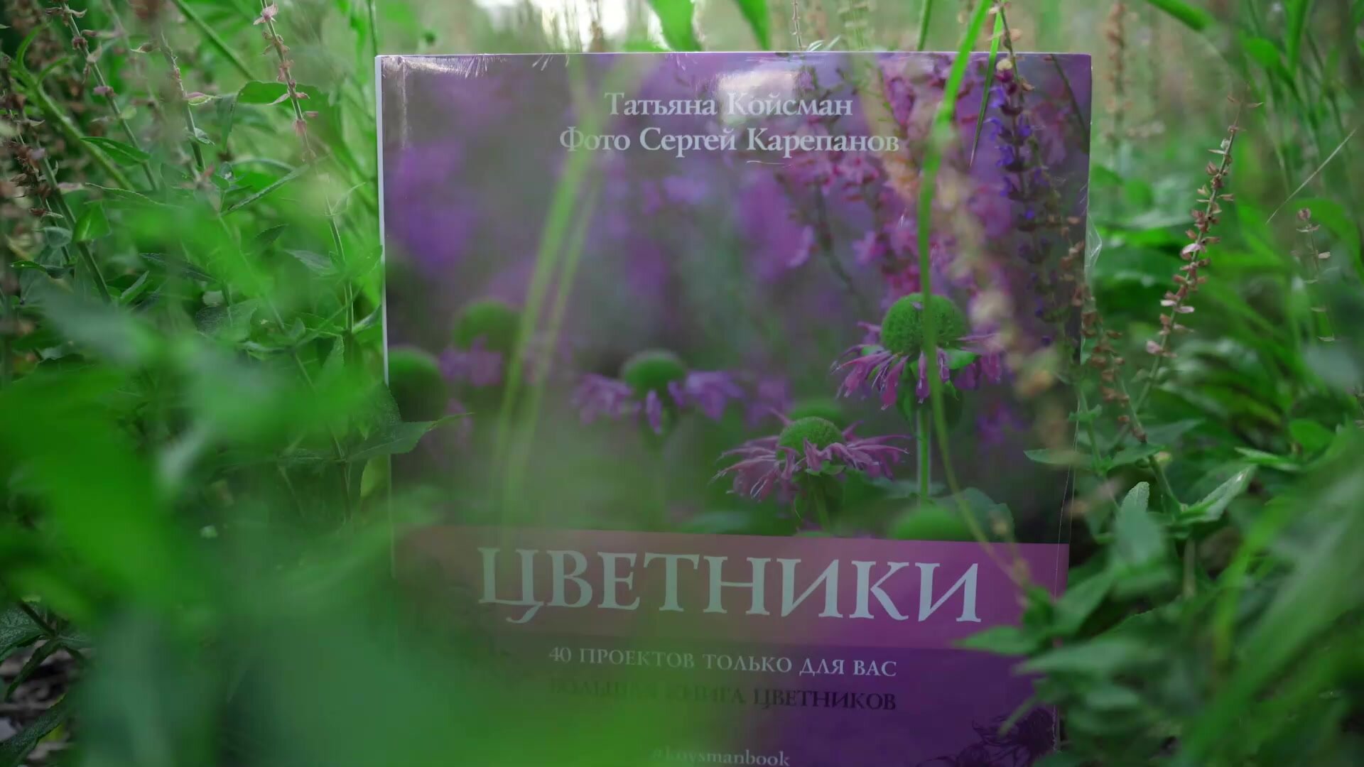 Книга "Цветники" 2024 — фото 1