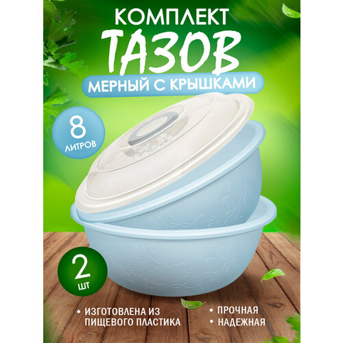 Тазик пластиковый Изобилие мерный с крышкой 8 л 2 шт бесцветный, синий, голубой