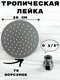 титан