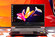 Ноутбук игровой Thunderobot 911 x Wild Hunter X 15.6" Full-HD 165Гц/i9-13900H/16...