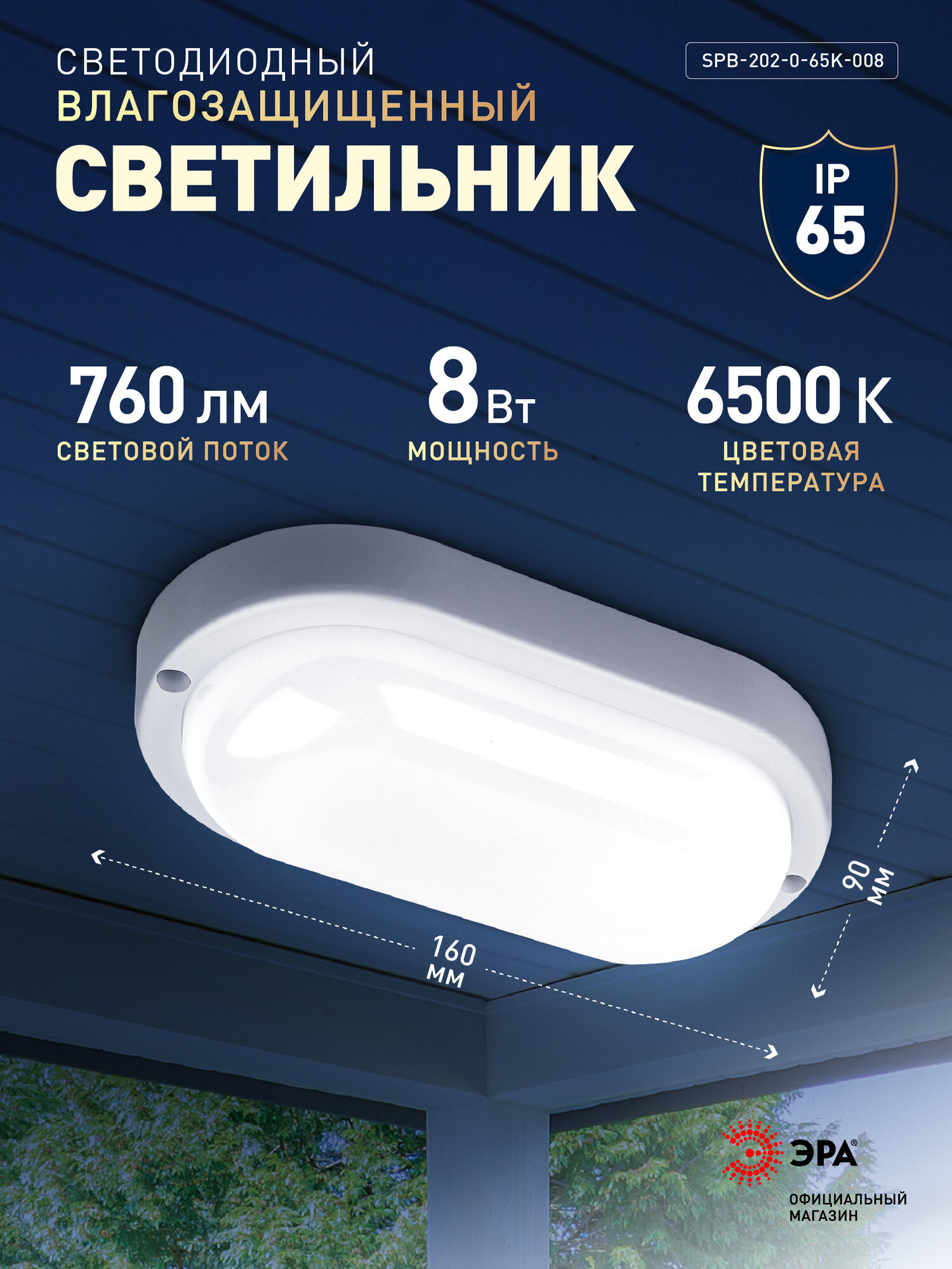 Светильник потолочный светодиодный ЖКХ уличный настенный влагозащищённый ЭРА IP65 8Вт 760Лм 6500К D160 мм