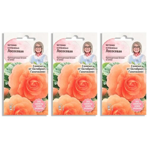 Набор семян Бегония клубневая Лососевая 6 шт - 3 уп. бегония multiflora maxima orange разбор 4 5 1 клубень