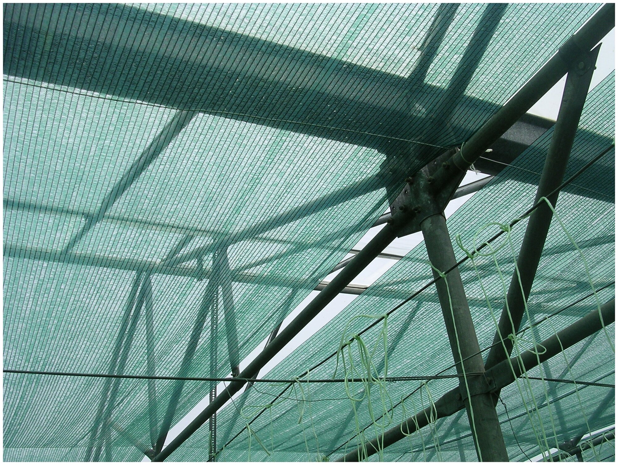 Защитная затеняющая сетка 55%, размер 3х5 м (15 м2) с люверсами для притенения растений, теплицы, парника, садовой беседки, шатра, забора, зон отдыха - фотография № 10