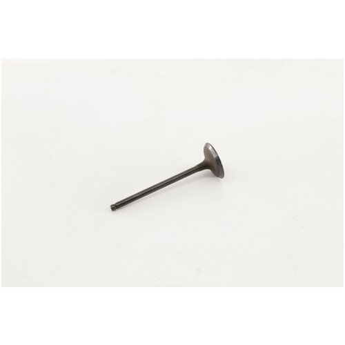 Клапан впускной дв.GW4G15 1.5Т Haval H2, H6, FLORID, COOLBEAR , HOVER M2 / Хавал Х2 / Х6 / 1007011EG01