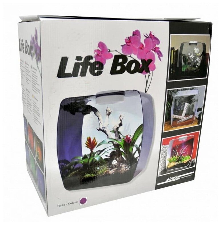Террариум LUCKY REPTILE "Life Box", 30х18х30см, фиолетовый, 14л (Германия) - фотография № 3