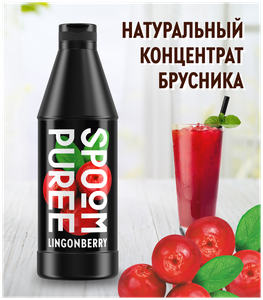 Натуральный концентрат SPOOM PUREE Брусника 1 кг (основа для приготовления напитков и десертов)