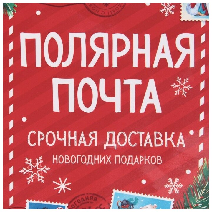 Пакет ламинированный вертикальный «Полярная почта», S 12 × 15 × 5,5 см