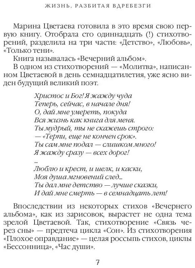 Письмо в бесконечность (Цветаева Марина Ивановна) - фото №6