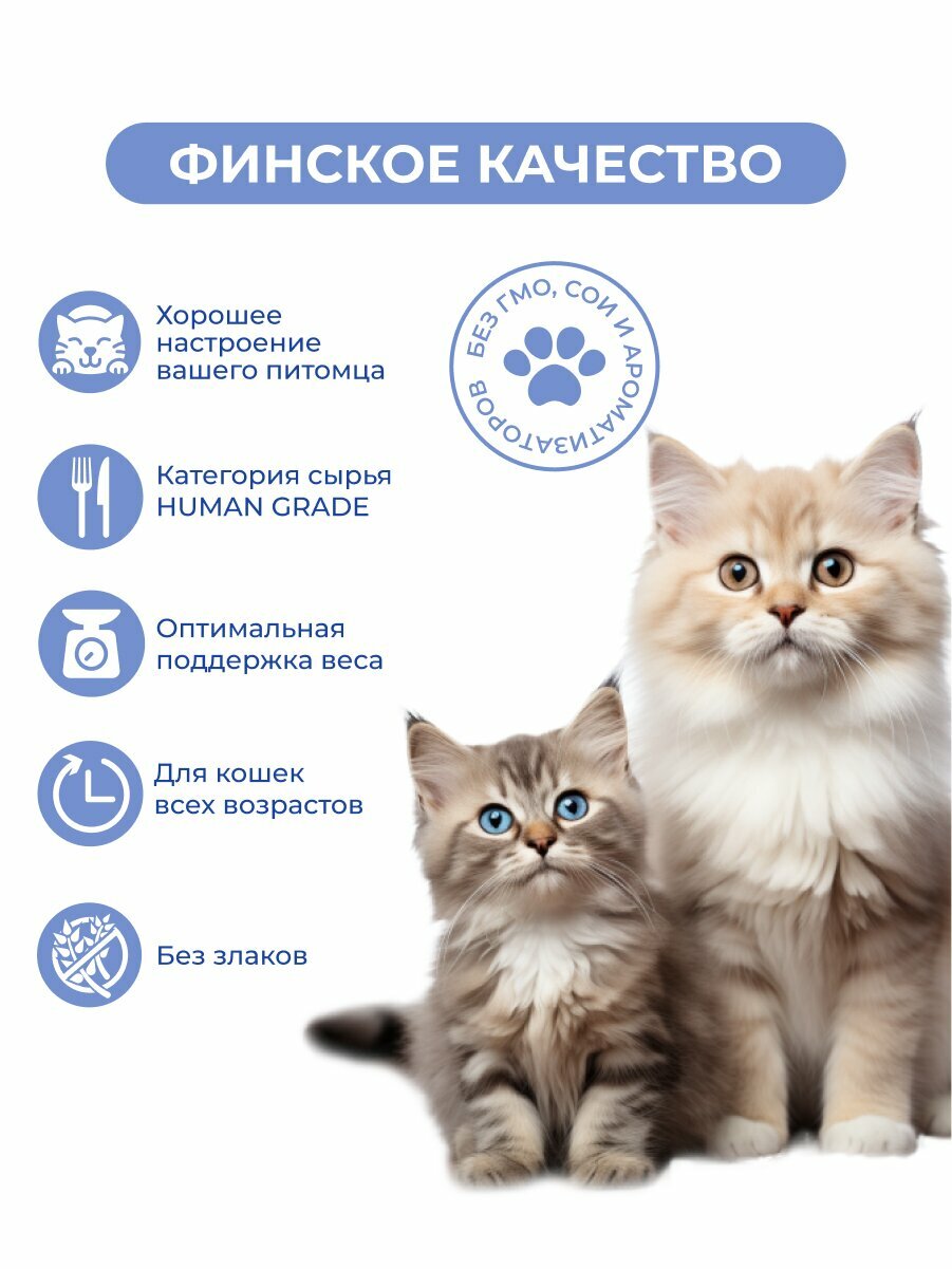 Лакомство Jarvi для кошек и котят крем-суп с филе курицы 15 г х 12 шт. — фото 1