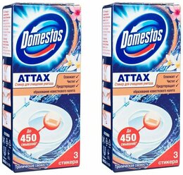 DOMESTOS Стикер для унитаза Тропическая свежесть, 30 гр (4 шт в наборе)