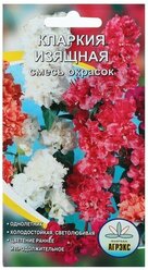 Семена цветов Кларкия изящная смесь окрасок, О, 0,2 г