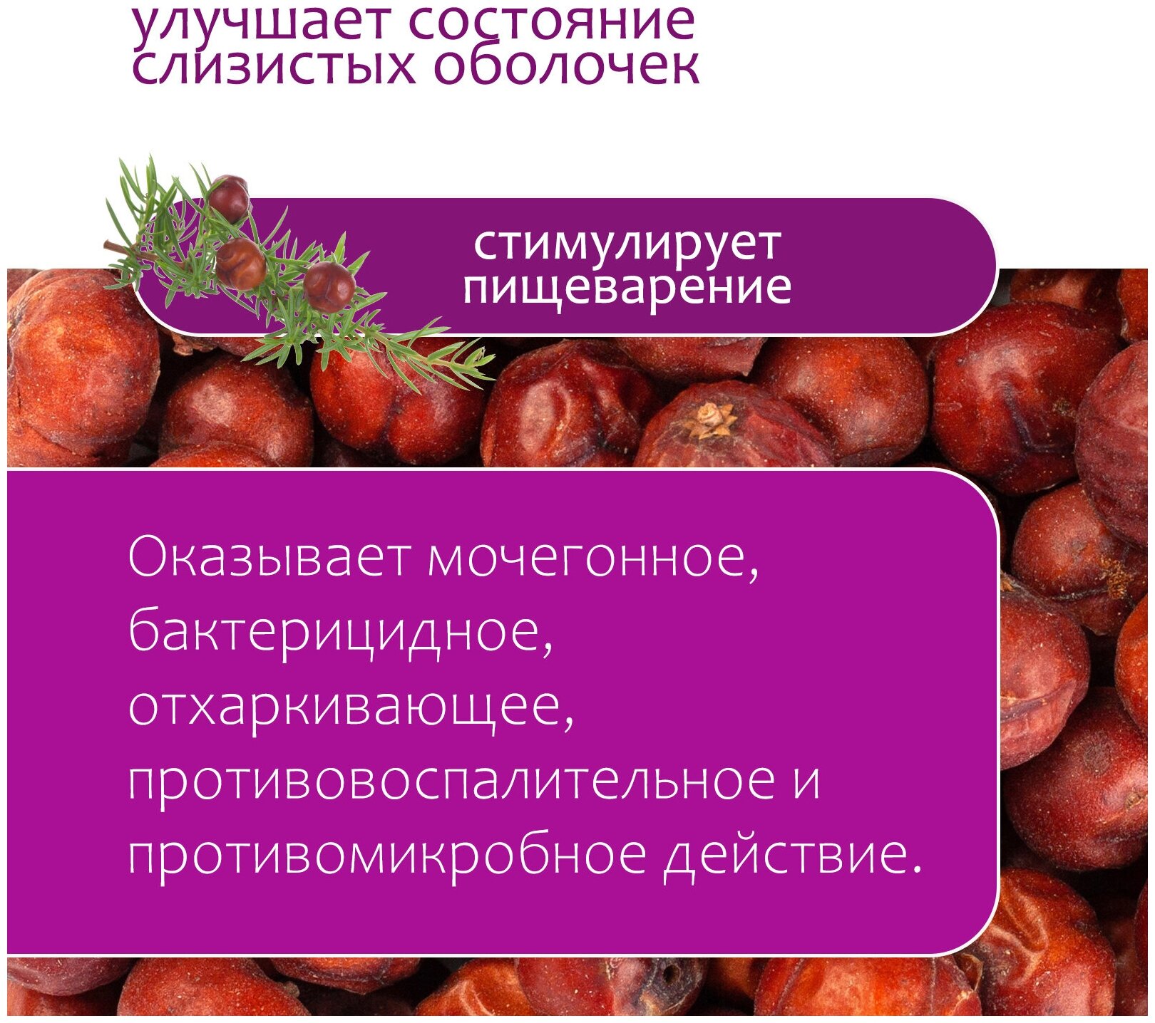 Чай ассорти ягодный, Травы горного Крыма, бузина, можжевельник, калина, рябина красная, 4шт по 100гр - фотография № 12