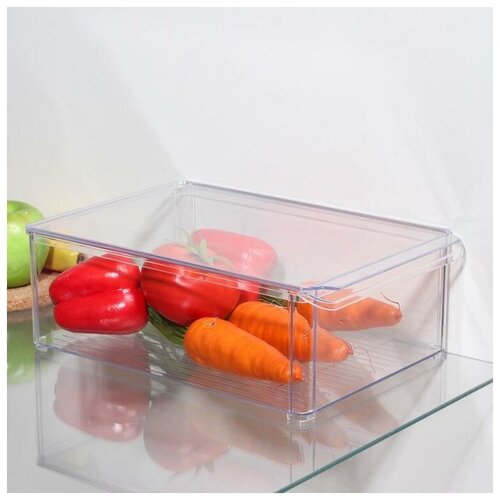 Органайзер для холодильника Idea 20х30х10 см с крышкой, прозрачный
