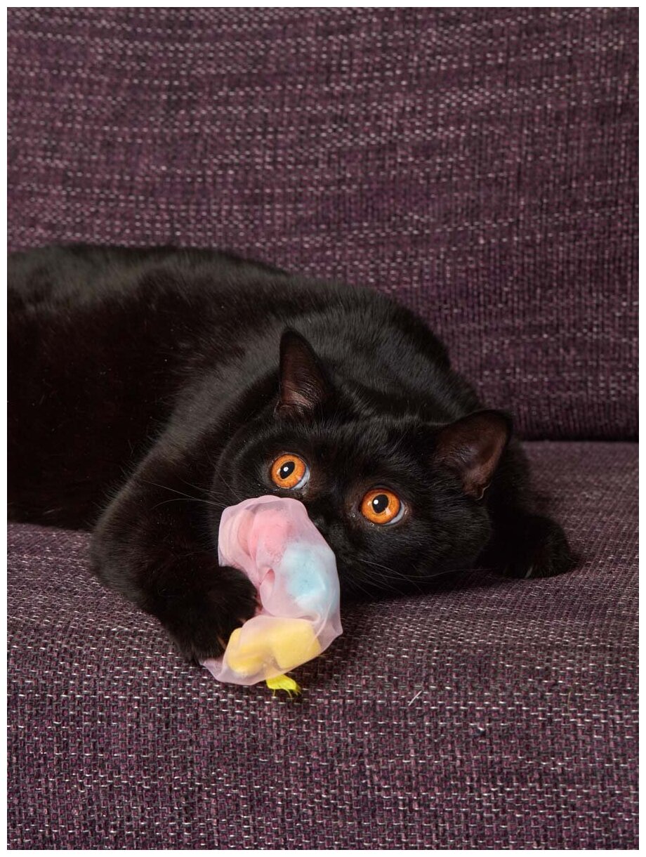 Игрушка для кошек и котят Japan Premium Pet в виде воздушной медузы, с функцией игры, серия "Волшебная коробка для кошек" - фотография № 7
