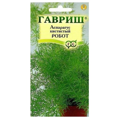 Аспарагус кистистый Робот семена аспарагус кистистый робот 3 упаковки 2 подарка