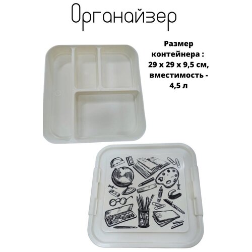 Контейнер-органайзер с вкладкой и крышкой IML 4,5 л