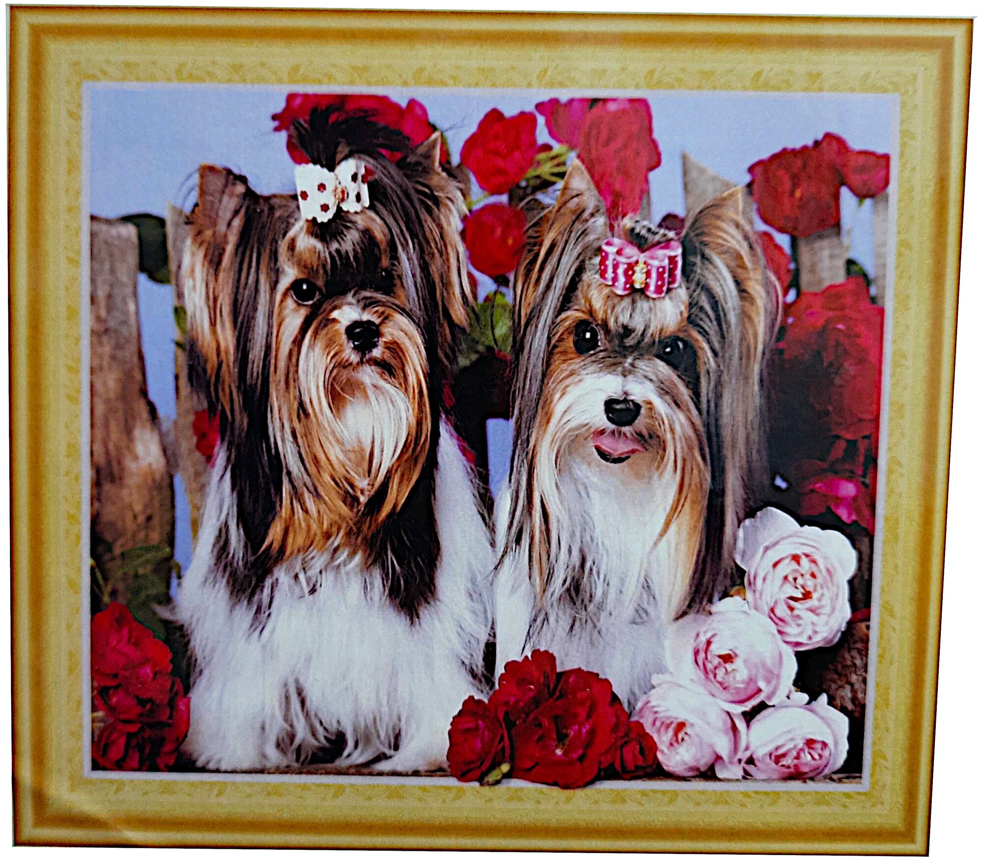 Алмазная мозаика 40x50 "Собаки Йоркширские Терьеры" 7D на подрамнике, Картина стразами