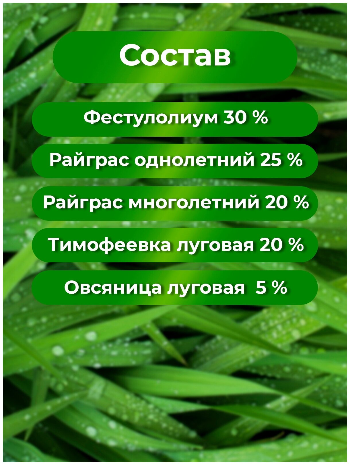 Семена газона Агросидстрейд Универсальный 10 кг - фото №3