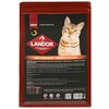 LANDOR CAT ADULT HAIR & SKIN для взрослых кошек для кожи и шерсти с индейкой и лососем (10 кг) - изображение