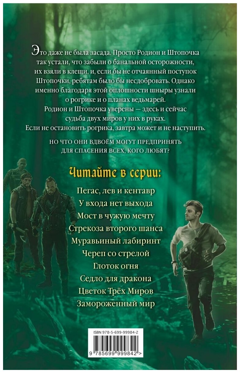 Замороженный мир (Емец Дмитрий Александрович) - фото №14