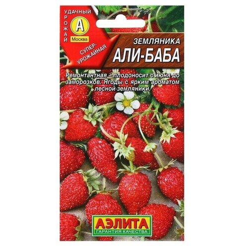 Семена Земляника Али Баба ремонтантная, 0,04 г 12 упаковок семена земляника али баба ремонтантная 0 04 г 12 упаковок