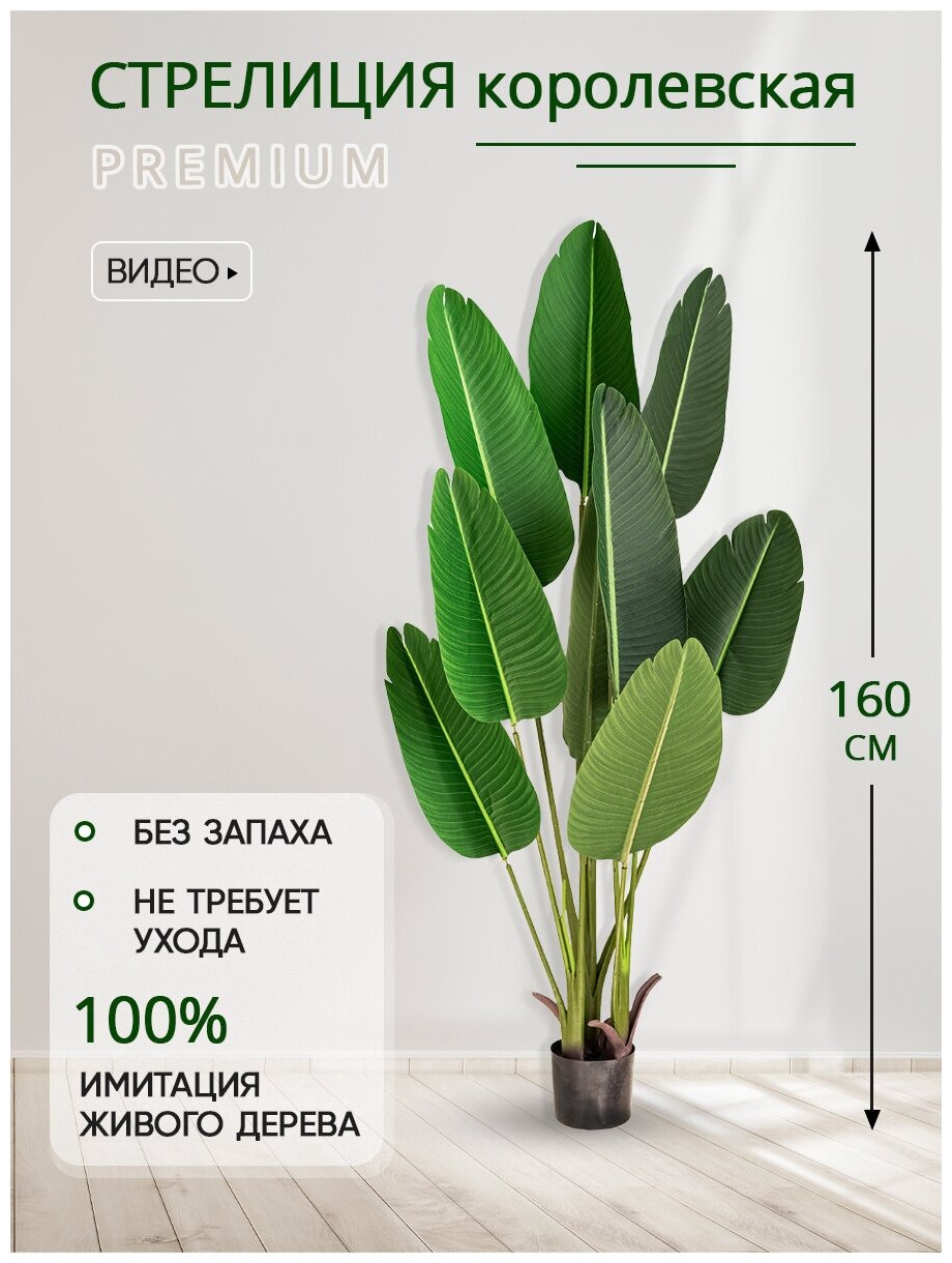 Искусственное растение дерево Стрелиция королевская в кашпо, Магазин искусственных цветов №1, высота 160 см.